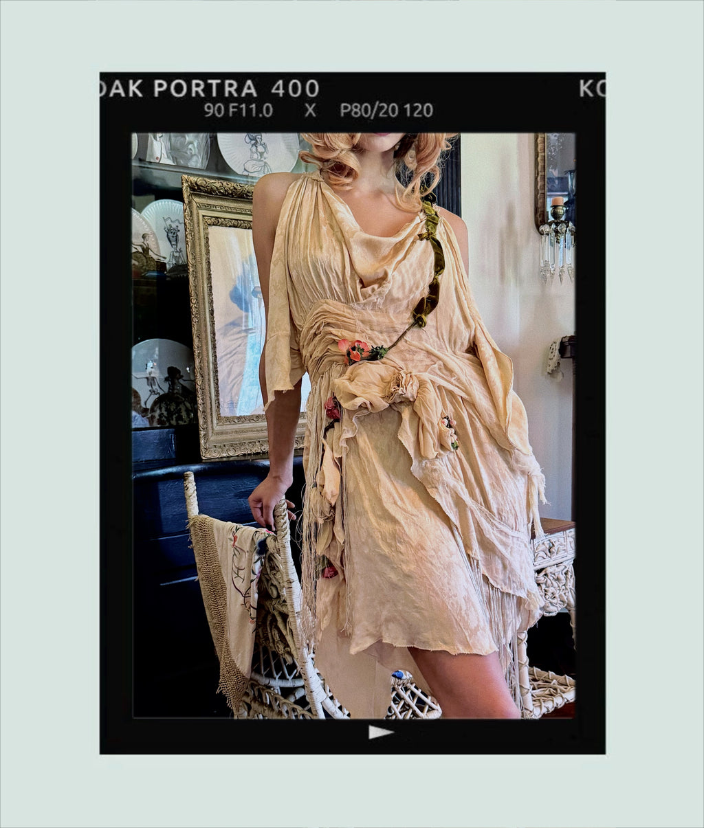 Rose Euphoria Dress and or Top Roses and Vines