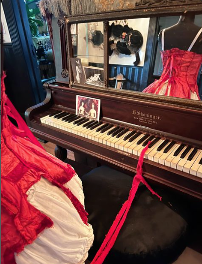 SOLD The Crimson Petal and The White Deconstructed Red Silken Corset adjustable Bustier with ties in the back