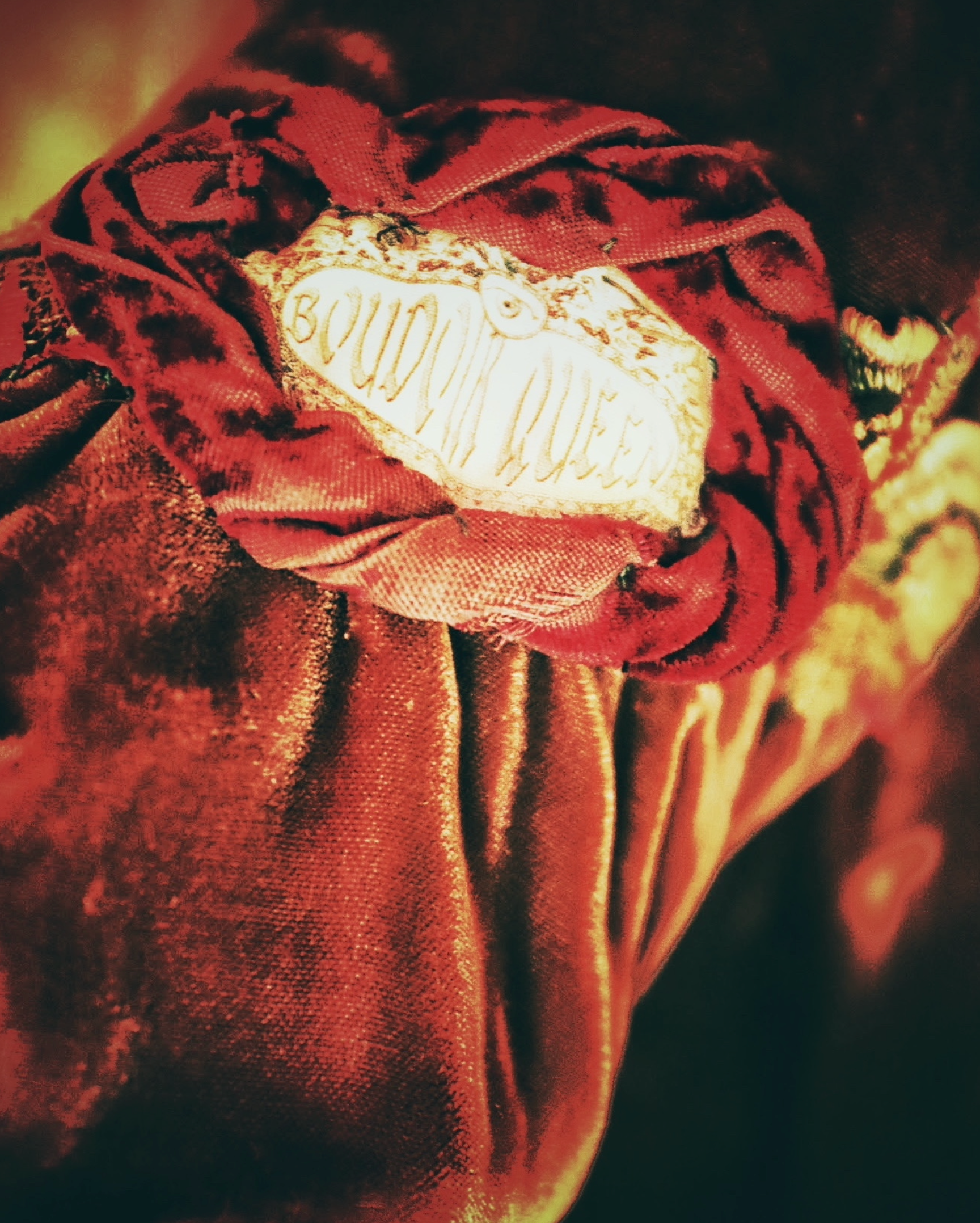 Brown Silk Velvet Original Jacket with Boudoir Queen logo on Arm 1920's