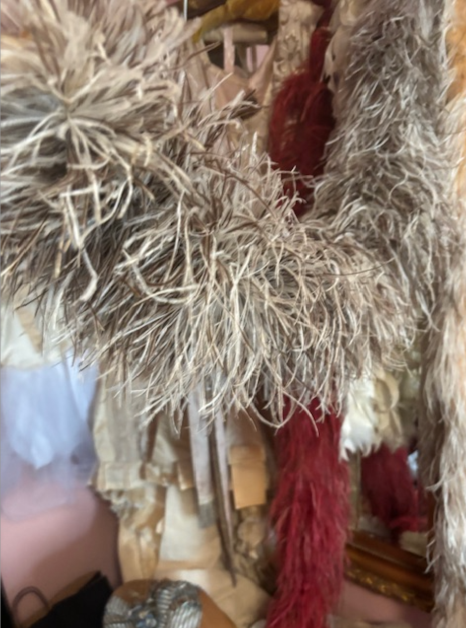 Authentic Ostrich Feather Taupe speckled white quite large very fluffy Edwardian