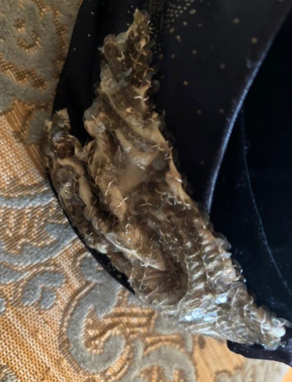 Boudoir Queen Custom Pill Box Turban hat