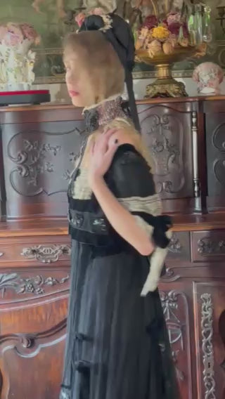 Victoria Princess Cut Ball Gown with Train so much fabulous netting Gel Sequin and lace Stunning!